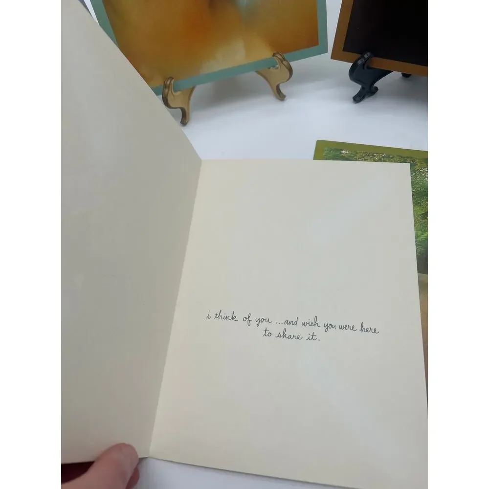 A Sunshine Card lot sunshine
